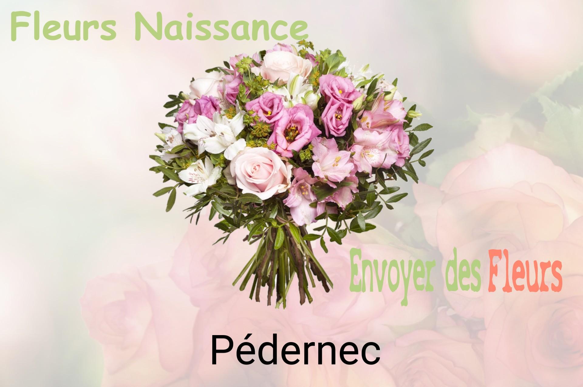 Bouquet de fleurs de naissance livré à Pédernec